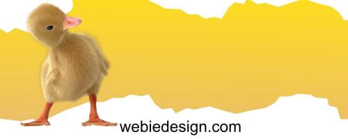 Webie Design